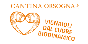 Bio Cantina Orsogna